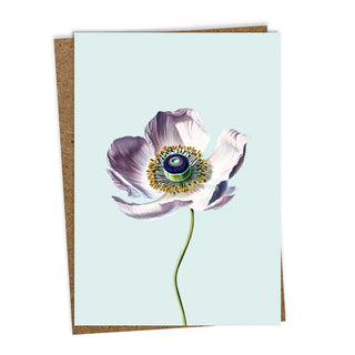 Naturgetreu gemalte Anemone auf hellblauem Hintergrund