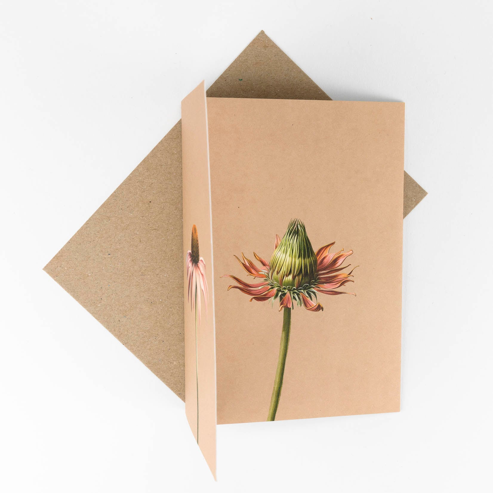 30x40 Klappkarte Grußkarte Karte Recyclingpapier Sonnenhut Blume mit Kuvert