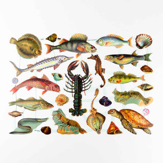 Kunstvoll gestaltete Tiere des Meeres auf Albumbildern - Fische, Krebs, Muschel, Schildkräte, Garnelen