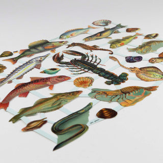 Die Glanzbilder sind mit einer Reliefprägung versehen.