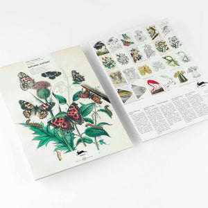 Pepin Press Malbuch Artist Coloring Colouring Book Ausmalbuch Malen Natural History Schmetterlinge Tiere