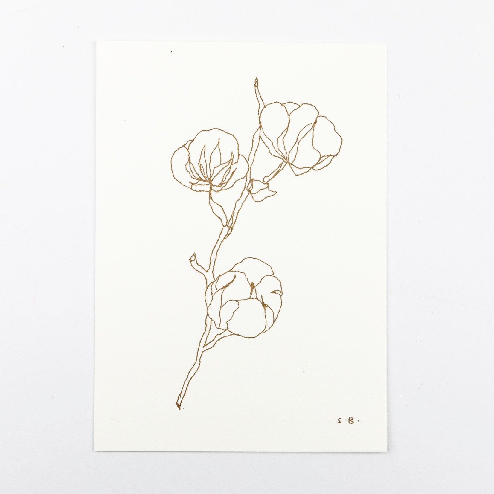 Stilisierter Zweig mit Baumwollblüten in Braun auf cremefarbenem Karton