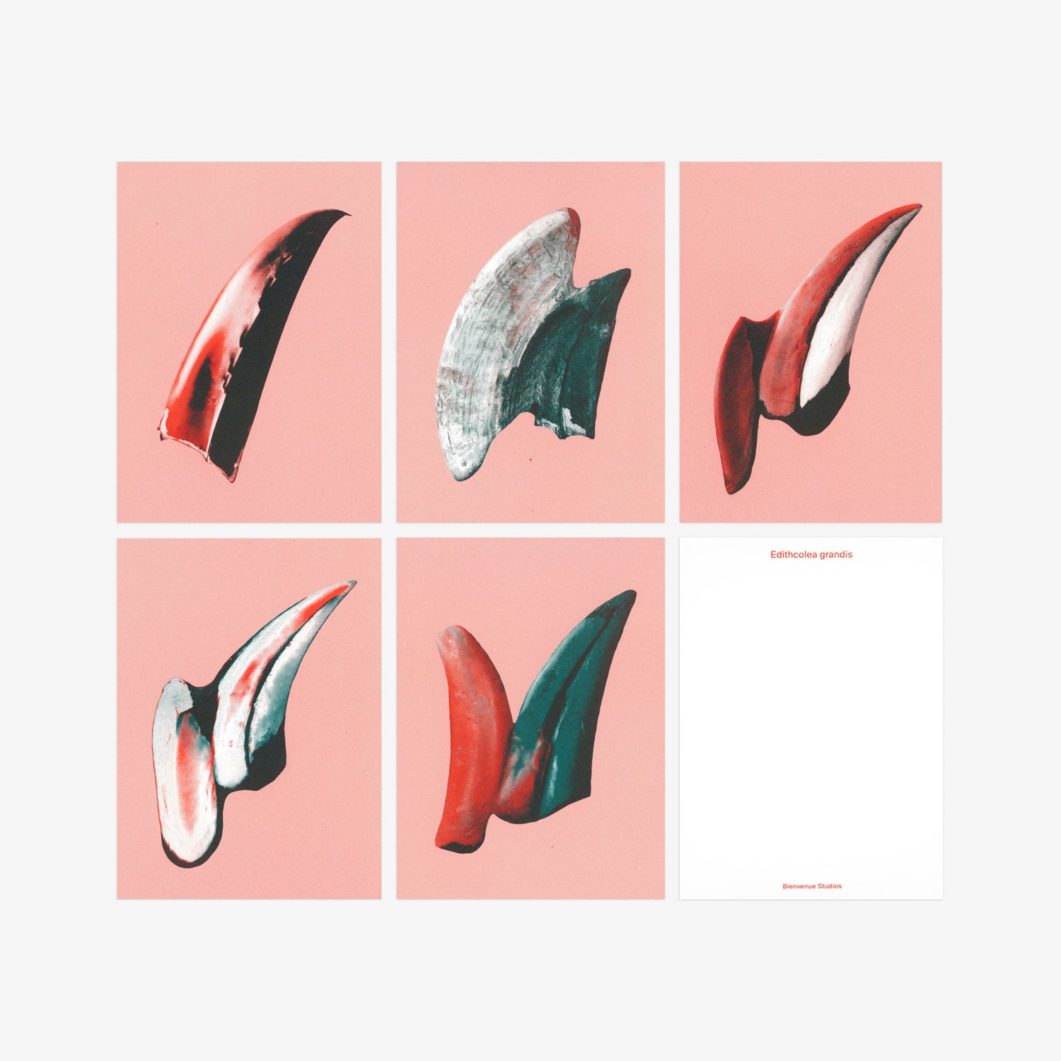 Bienvenue Studios small print collection gentle knife Postkarten Karten 