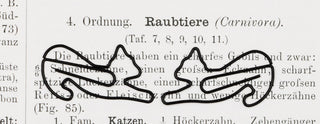 Klammern & Hefter