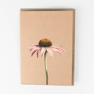 30x40 Klappkarte Grußkarte Karte Recyclingpapier Sonnenhut Blume mit Kuvert
