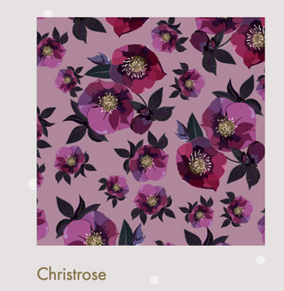 Studiomoikka Geschenkpapier Christrose