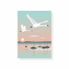 Zwei Schwäne fliegen an einem ruhigen Sommermoren über ruhende Segelboote, im Hintergrund geht die Sonne auf.