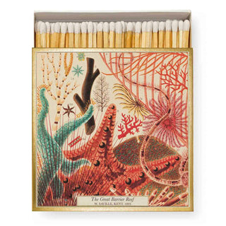 Zündholzschachtel mit Illustration von Korallen aus dem Great Barrier Reef