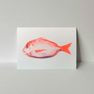 Risografie Postkarte mit Fisch in Neonorange