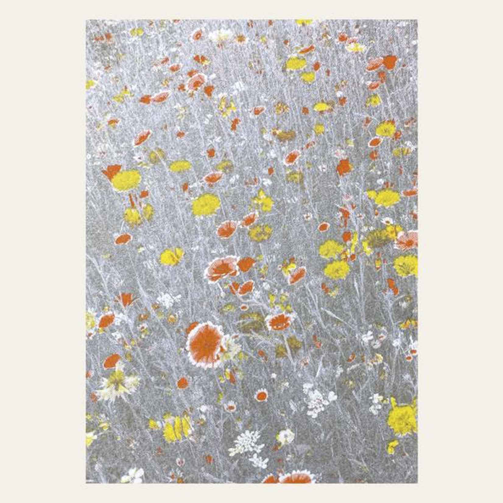 Gelbe und orange Blumen auf einer silbrig glänzenden Wiese in monochromem Grau