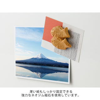 Lustige Fischmagnete aus Japan