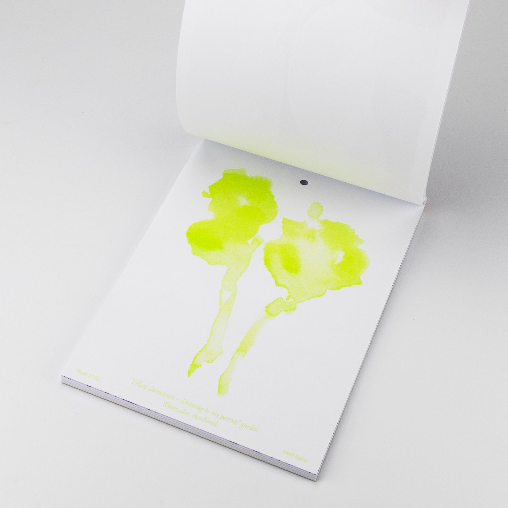 Steffi Bauer Kalender Floral Sketches 2024