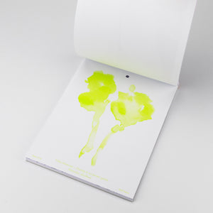 Steffi Bauer Kalender Floral Sketches 2024
