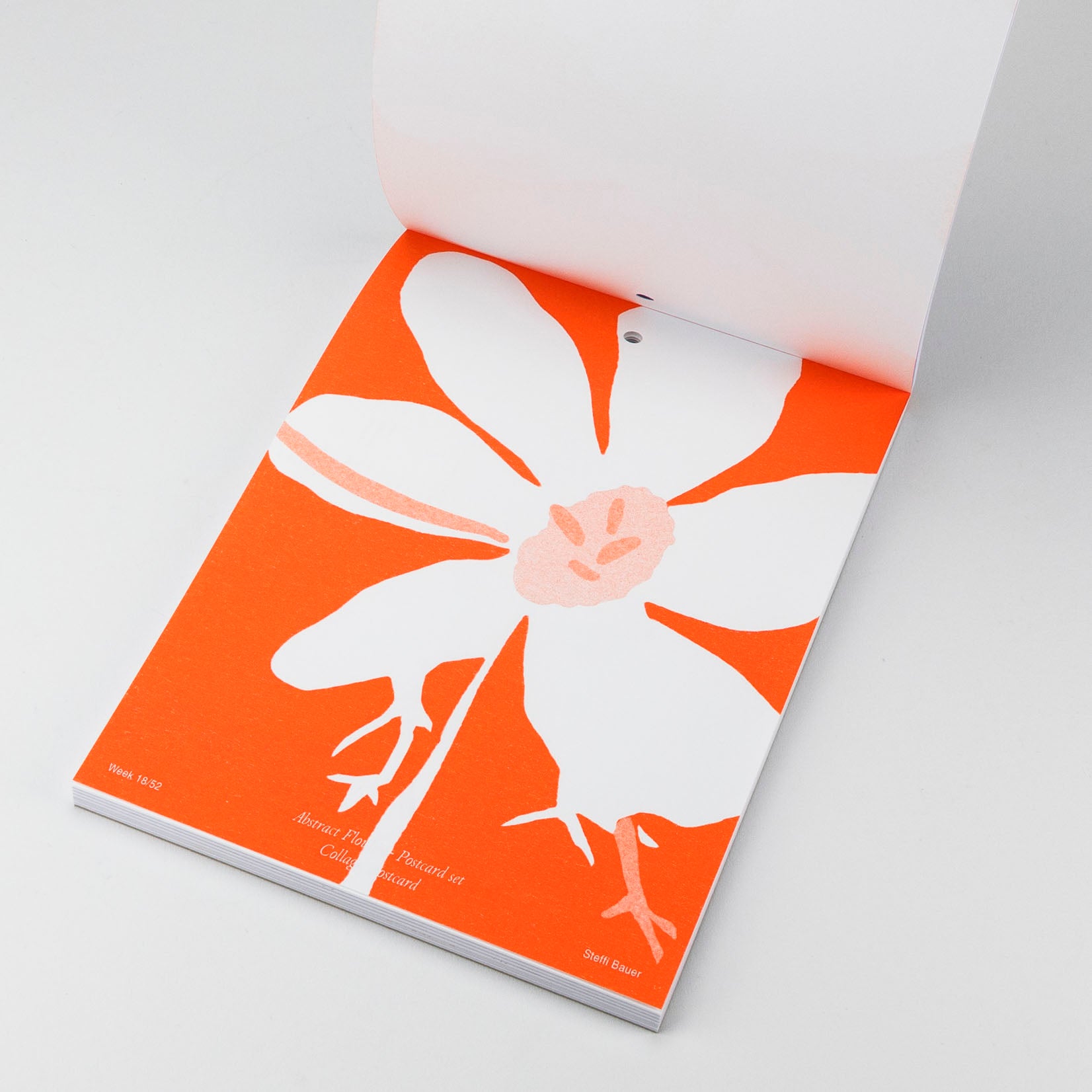Steffi Bauer Kalender Floral Sketches 2024