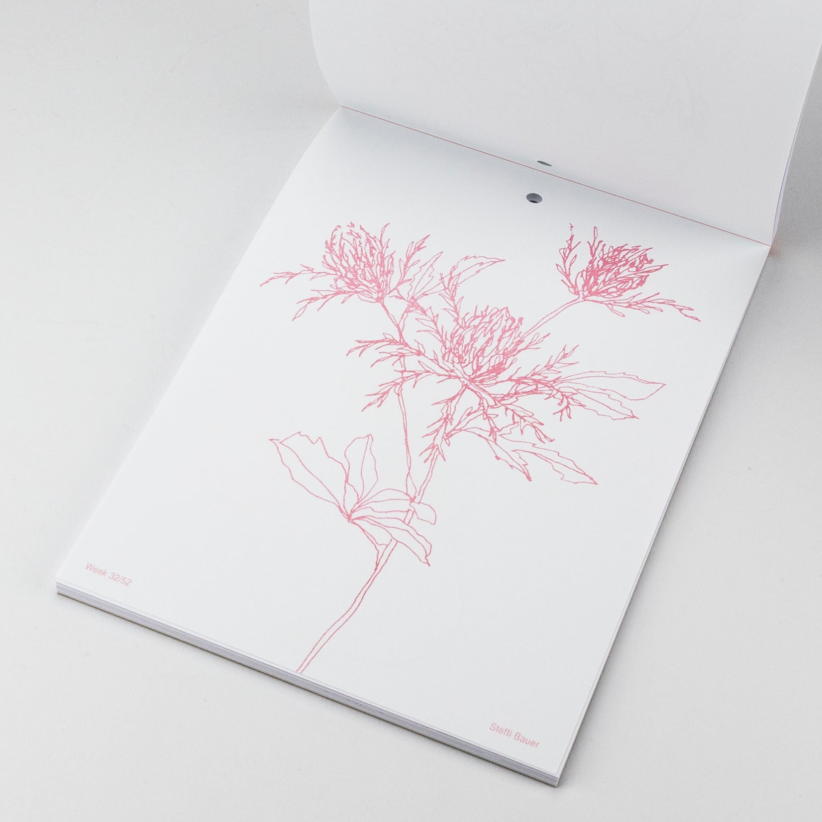 Steffi Bauer Kalender Floral Sketches 2024
