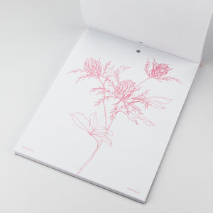 Steffi Bauer Kalender Floral Sketches 2024