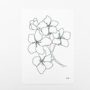 Stilisierter Zweig mit Blüten in Dunkelgruen auf weißem Karton