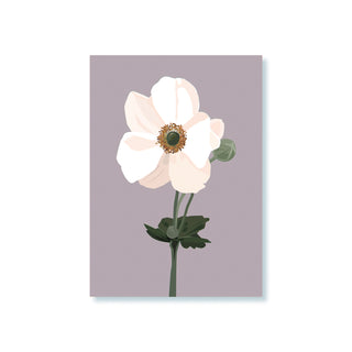 Postkarte mit einer zart kolorierten Anemone