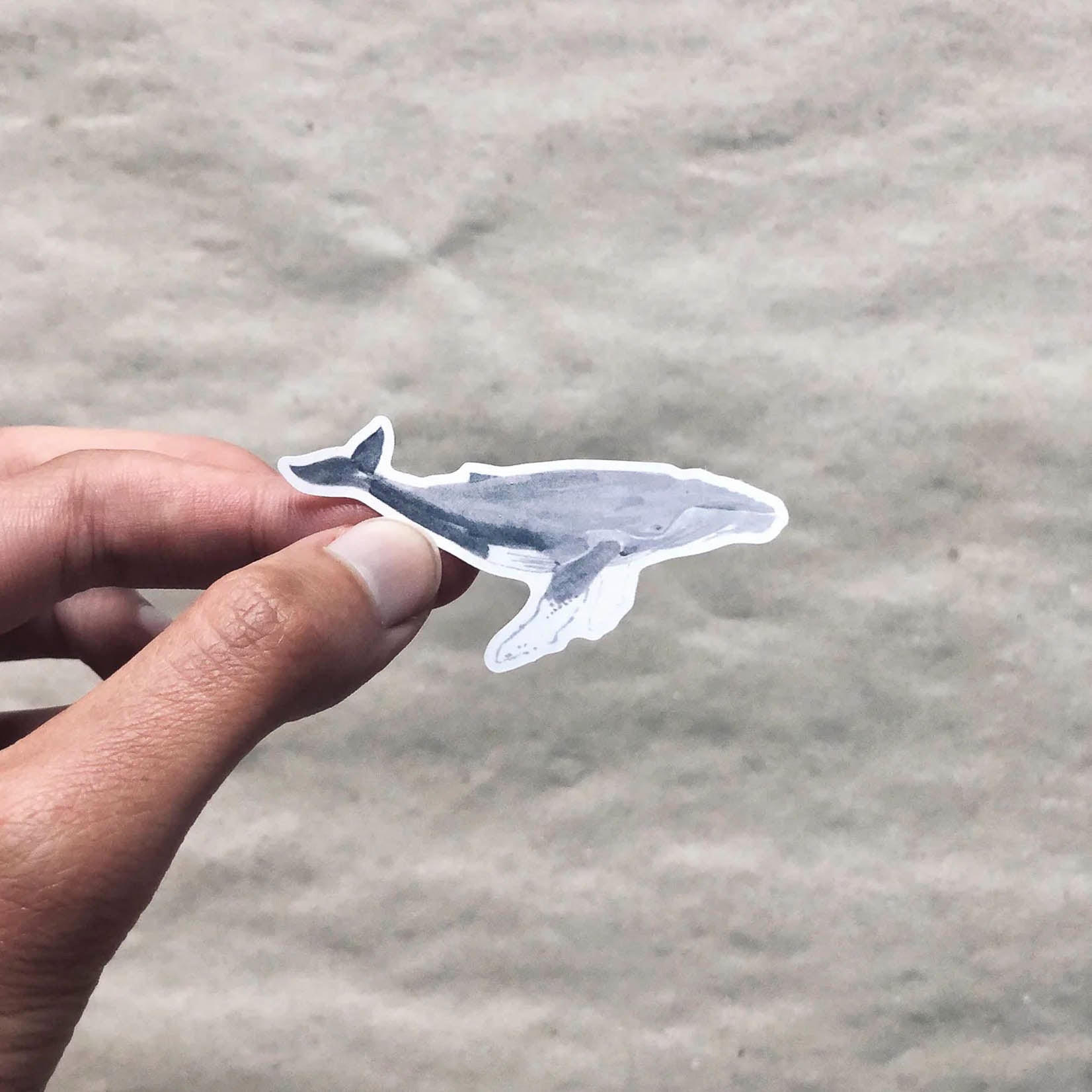 tucán y limón Sticker Aufkleber aus Recyclingpapier ohne PVC handillustriert mit Walfischen