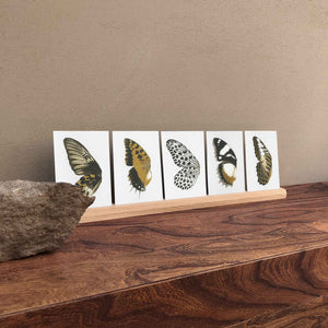 Bienvenue Studios small print collection Sun Fluttering Postkarte Karte Schmetterling Schmetterlinge