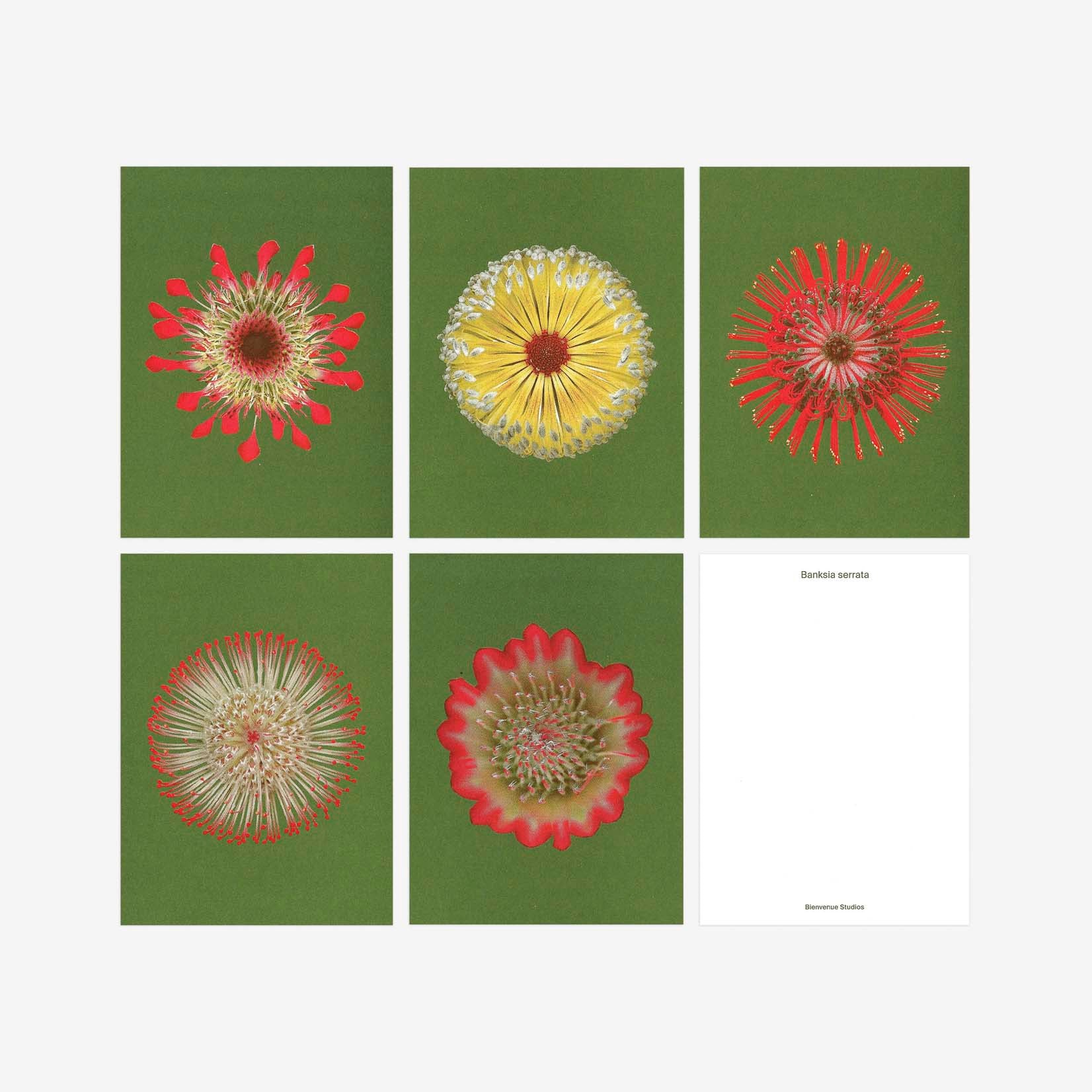 Bienvenue Studios Karten Small Print Collection Fire Flowers Artprints Natur Blumen