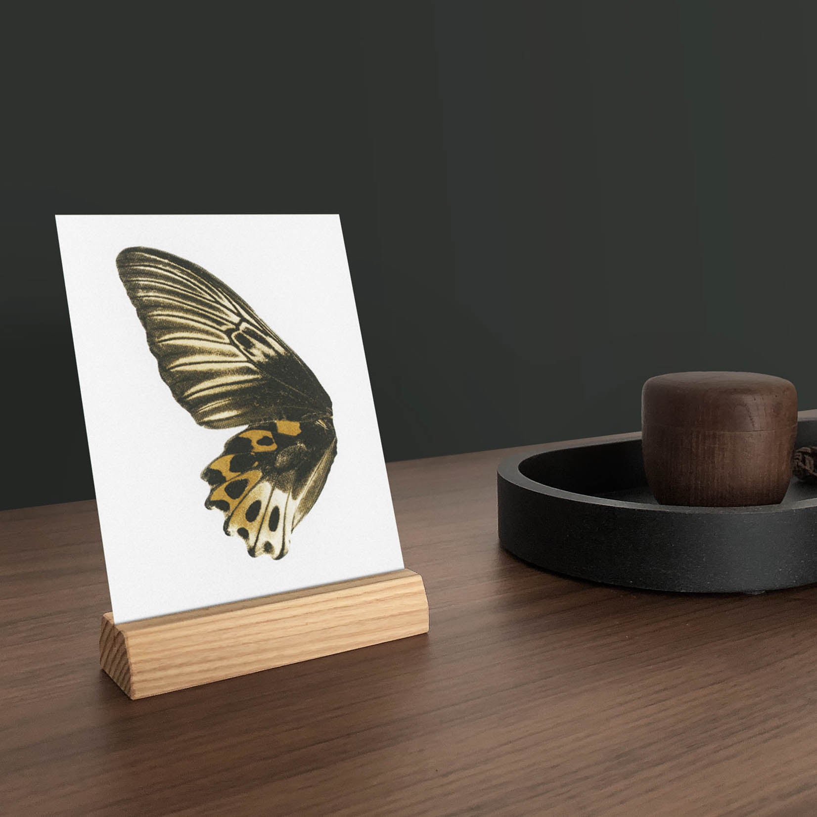 Bienvenue Studios small print collection Sun Fluttering Postkarte Karte Schmetterling Schmetterlinge