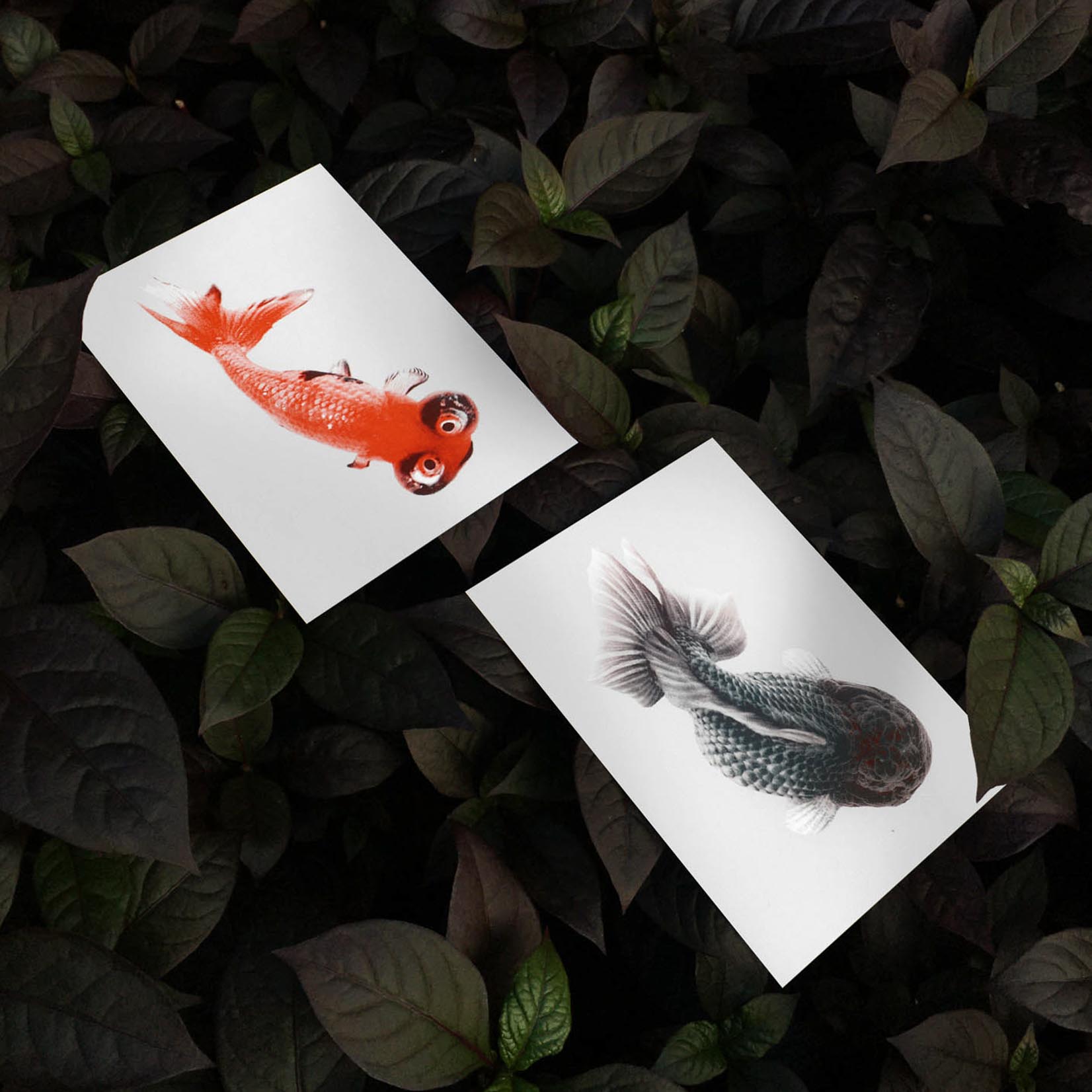 Bienvenue Studios small print collection Morbid Being Postkarten Karten
