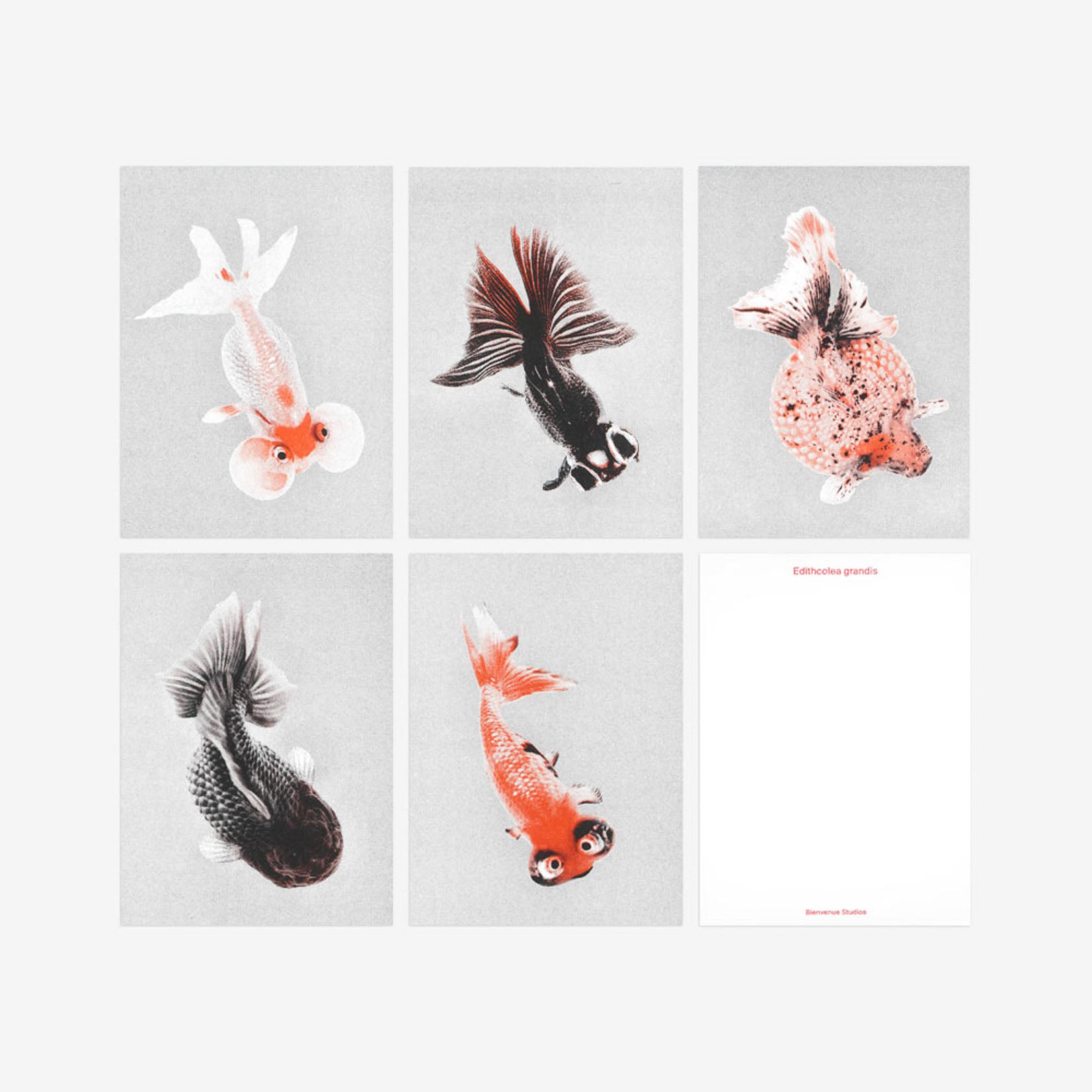 Bienvenue Studios small print collection Morbid Being Postkarten Karten