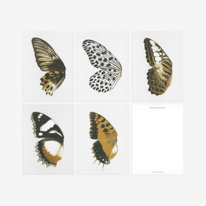 Bienvenue Studios small print collection Sun Fluttering Postkarte Karte Schmetterling Schmetterlinge