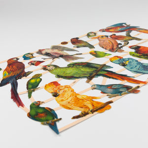 Glanzbilder Poesiealbum Bilder Oranamente Papageien Vögel Ara