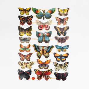 Glanzbilder Poesiealbum Bilder Oranamente Schmetterlinge