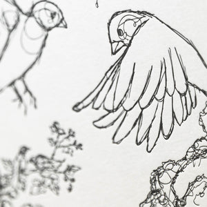 Werkstatt Höflich Letterpress Postkarte Grusskarte Karte Vögelchen Vogel Vögel