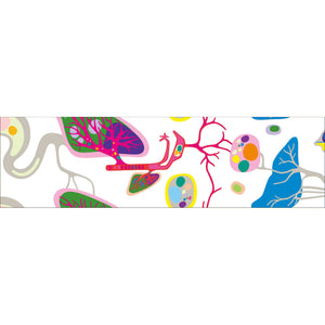 mt masking tape japanisches washi tape Reispaper Stockholm Design Lab Human Being Organe Anatomie