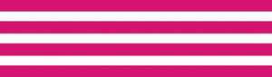 mt masking tape border framboise