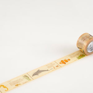 mt masking tape mt ex encyclopedia marine creature