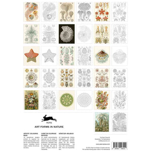 Pepin Press Malbuch Art Forms in Nature