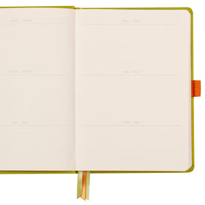 Rhodia Goalbook Hardcover Notebook Notizbuch A5 grün anisgrün hellgrün