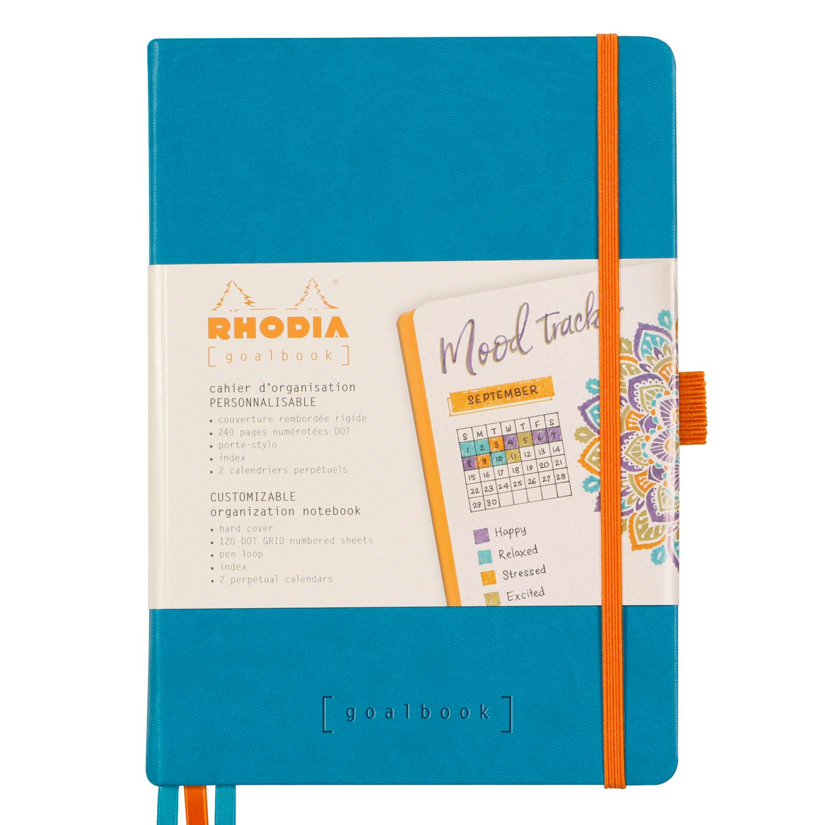 Rhodia Goalbook Hardcover Notebook Notizbuch A5 türkis blau