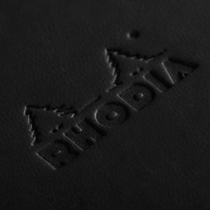 Rhodia Webnotebook 96 Blatt Dot Hardcover Notebook Notizbuch A4 schwarz