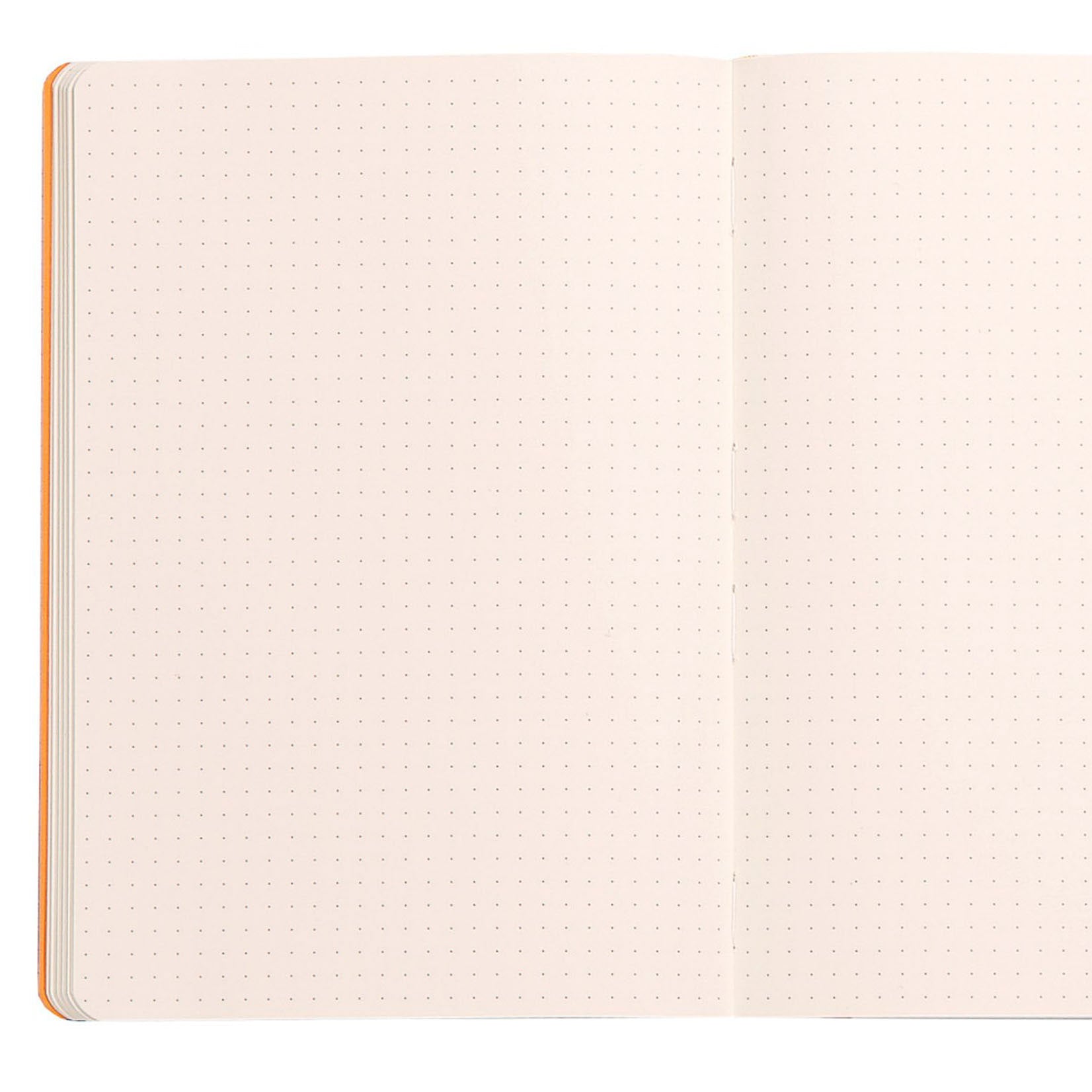 Rhodia Rhodiarama dot A5 Notebook Notizbuch Softcover seladon grün jade