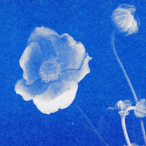 Herr & Frau Rio Karte Postkarte Risographie Riso Druck Anemone