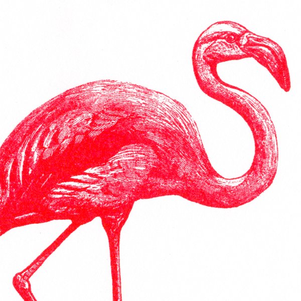Herr & Frau Rio Karte Postkarte Risographie Riso Druck Flamingo