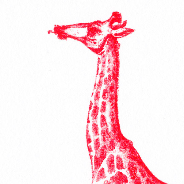 Herr & Frau Rio Karte Postkarte Risographie Riso Druck Giraffe