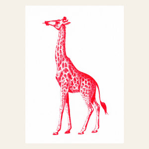 Herr & Frau Rio Karte Postkarte Risographie Riso Druck Giraffe