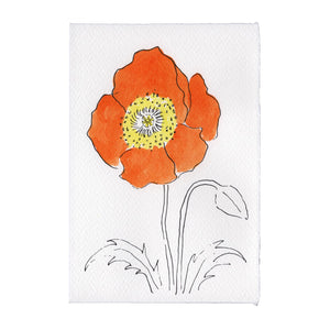 Scribble & Daub Klappkarte Oriental Poppy Mohn Mohnblume Grußkarte Karte handcoloriert