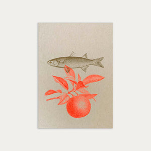 Togethery Karte Postkarte Risographie Riso Druck Fisch Fluo Orange vegan